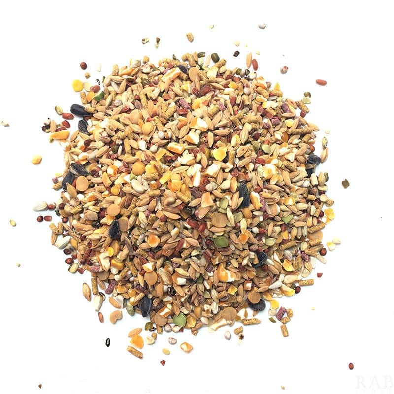 Anh em cần ghi nhớ tỷ lệ chuẩn để trộn ngũ cốc cho gà đá