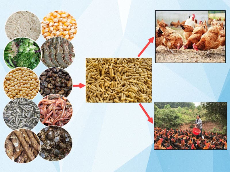 Bổ sung thêm nhóm thực phẩm đạm