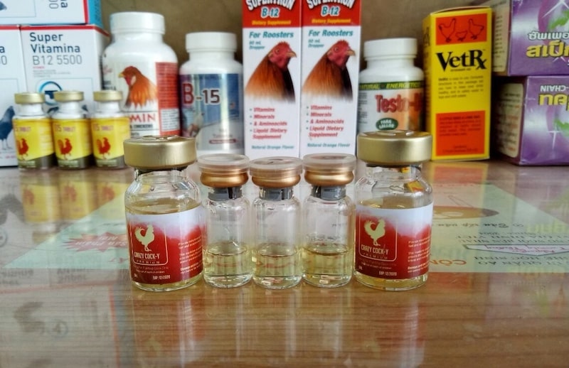 Thuốc tăng lực cho gà đá có thực sự hiệu quả?